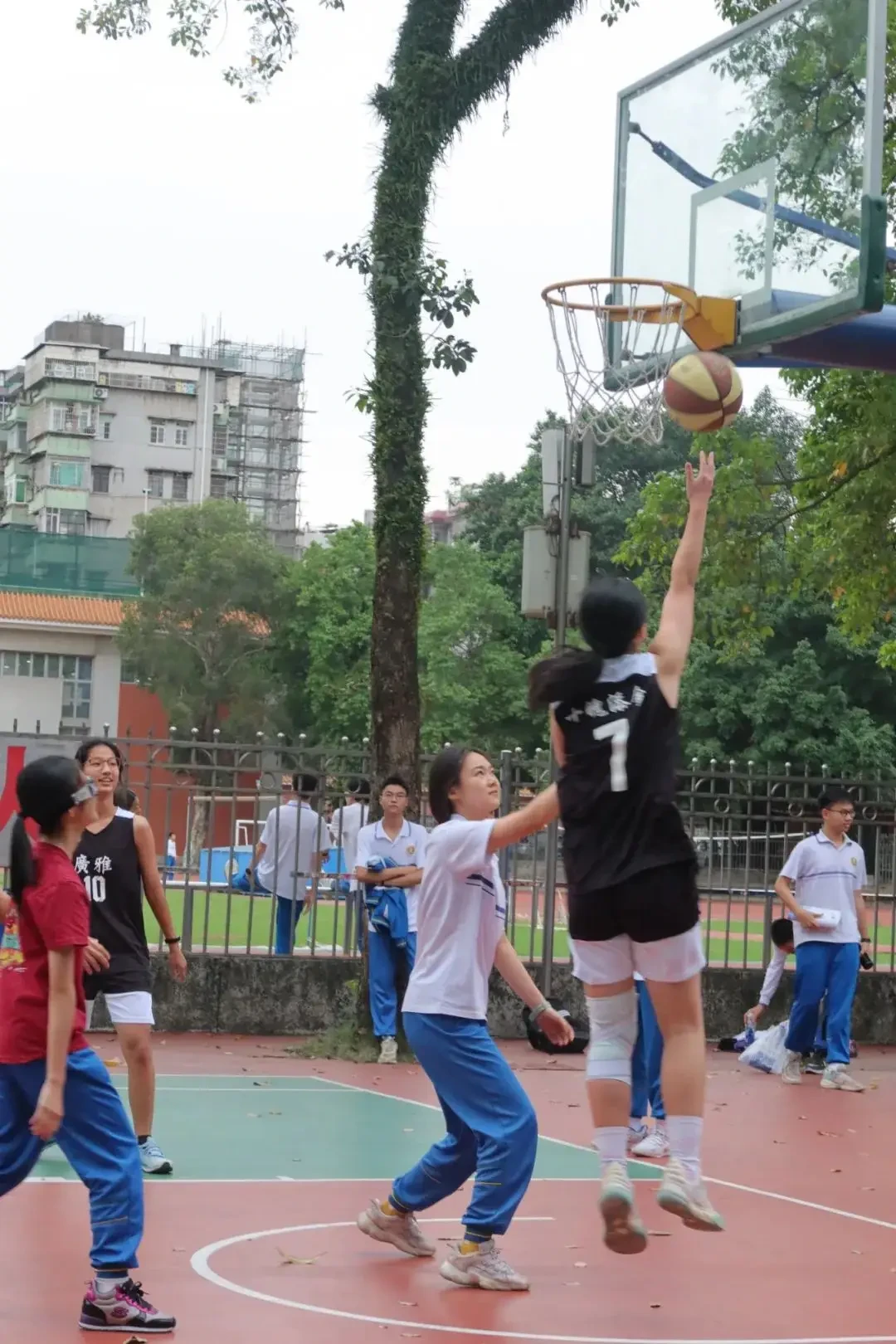 如何通过数据分析优化篮板训练效果?_0